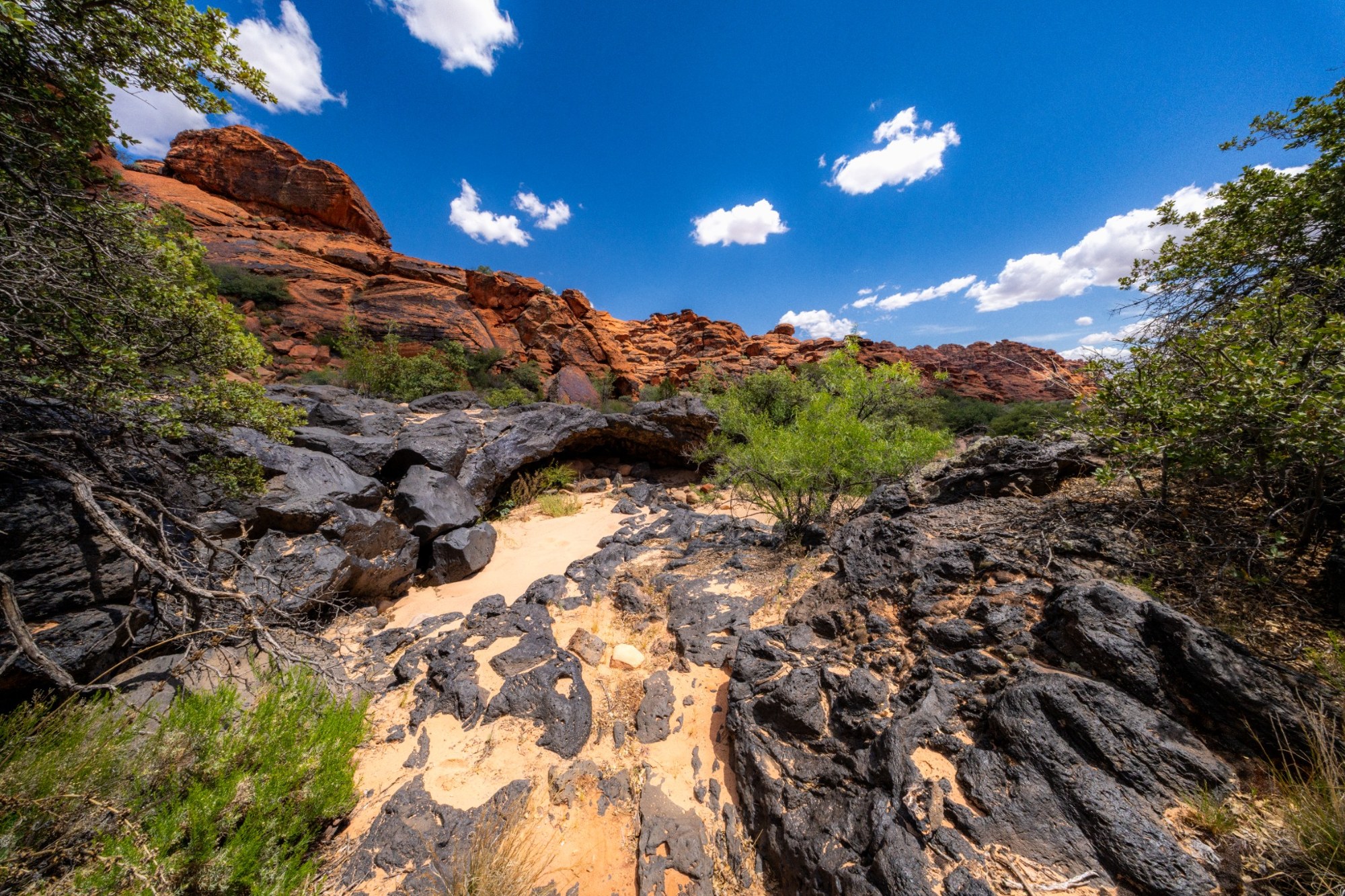 A rocky creek bordered by green vegetation and red cliffs